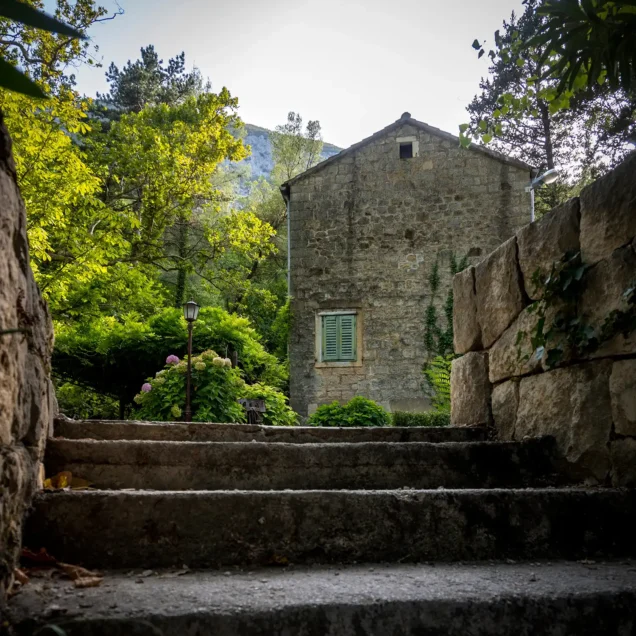 Omis_4